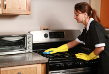 oven and fridge cleaning