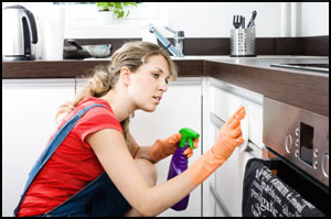 kitchen cleaners